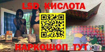 СК Краснодар