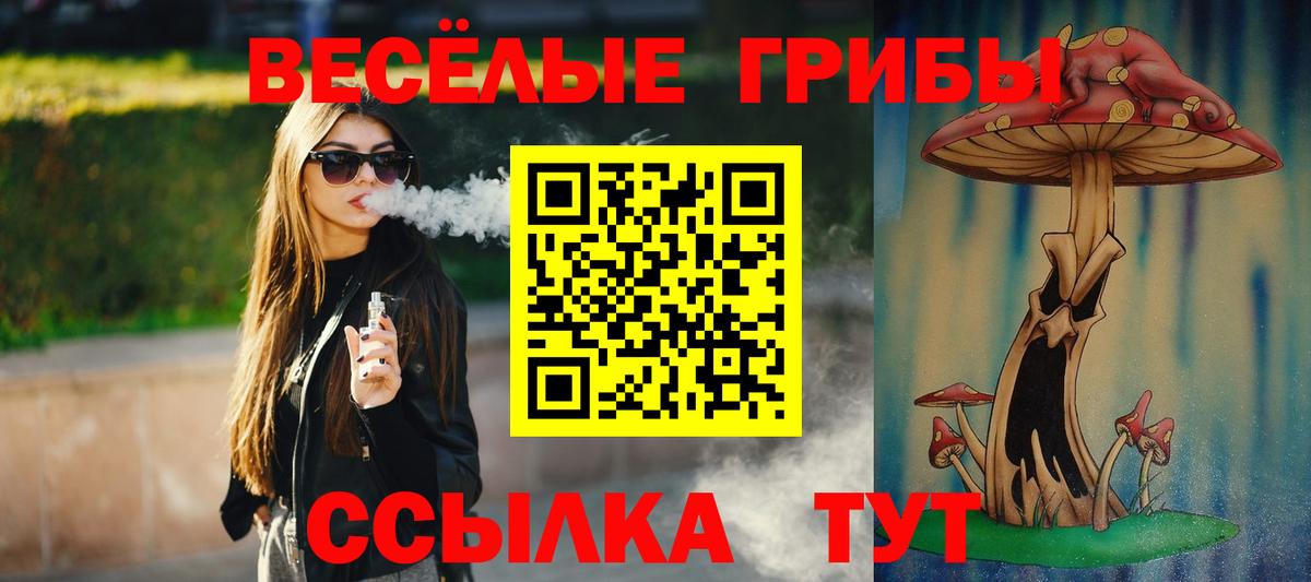 Псилоцибиновые грибы ЛСД Киров