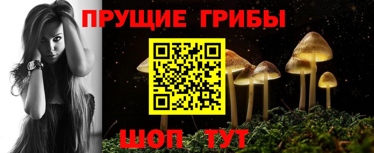 Псилоцибиновые грибы GOLDEN TEACHER  магазин продажи наркотиков  Галлюциногенные грибы прущие грибы  Киров  Вход с VPN 