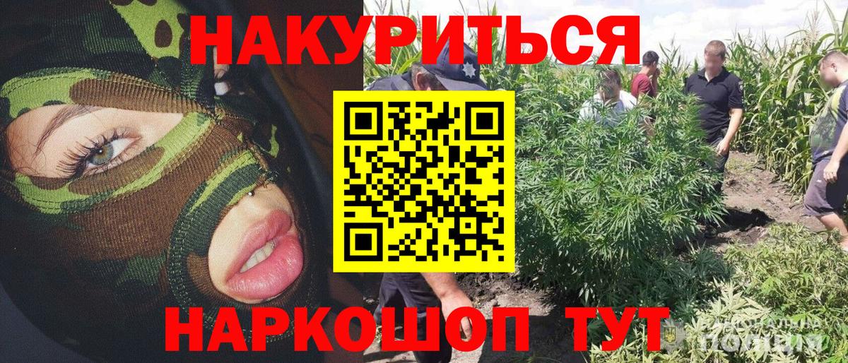 Бошки марихуана VHQ Киров